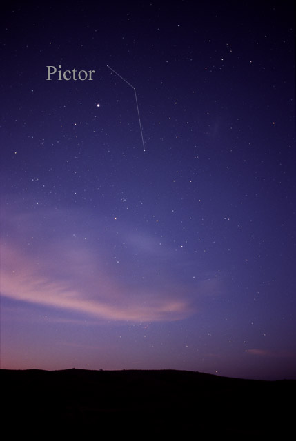 Pictor