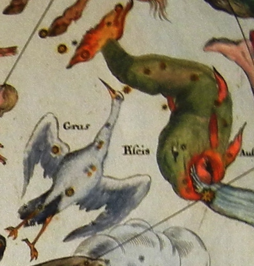 Piscis Austrinus