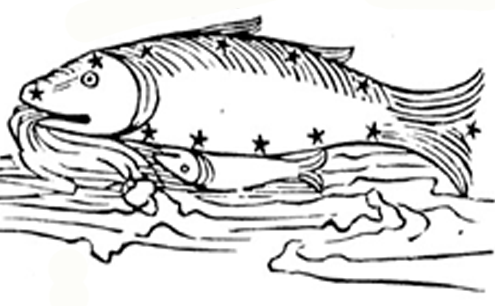 Piscis Austrinus
