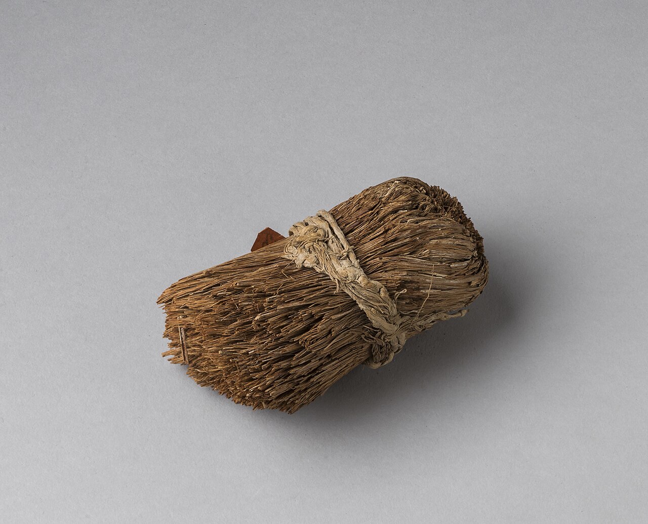 Brush, vegetable fibers - Museo Egizio, Turin S 7653 p01