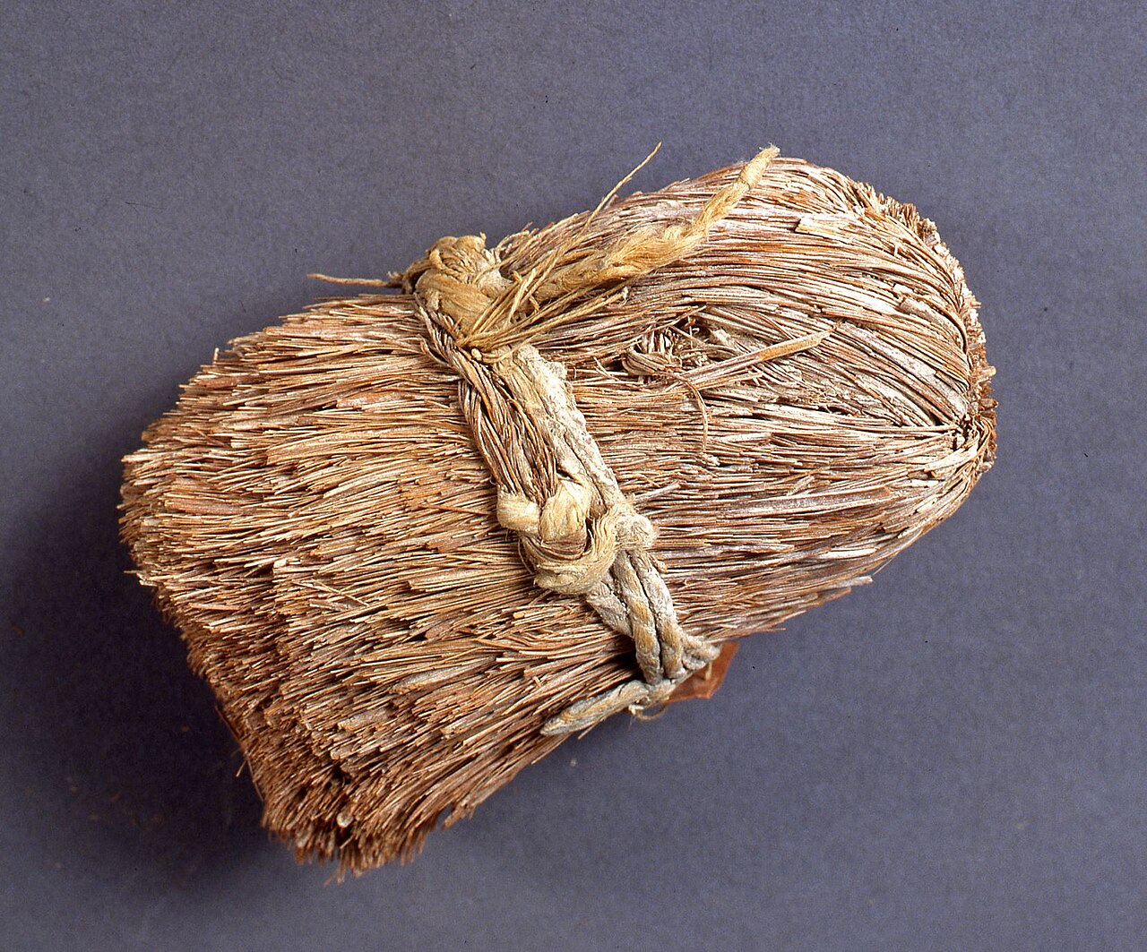 Brush, vegetable fibers - Museo Egizio, Turin S 7653 p02
