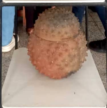 Ceramic Pot(Spiked) with Lid