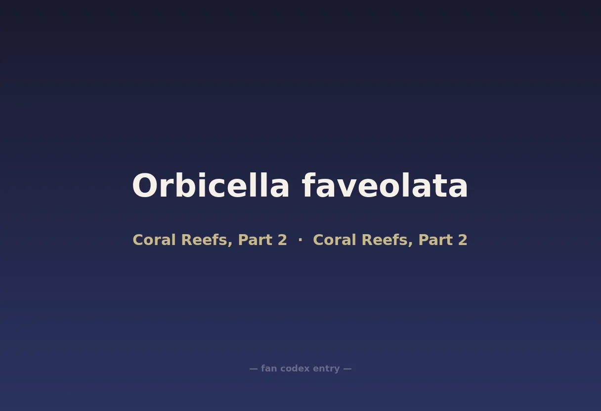 Orbicella faveolata