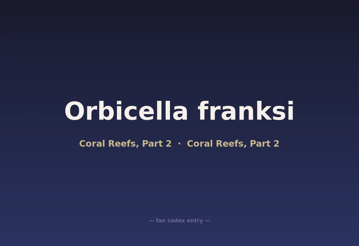 Orbicella franksi