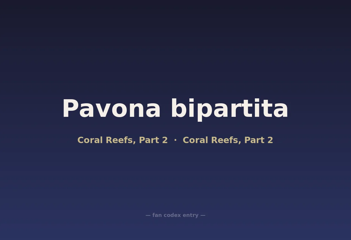 Pavona bipartita