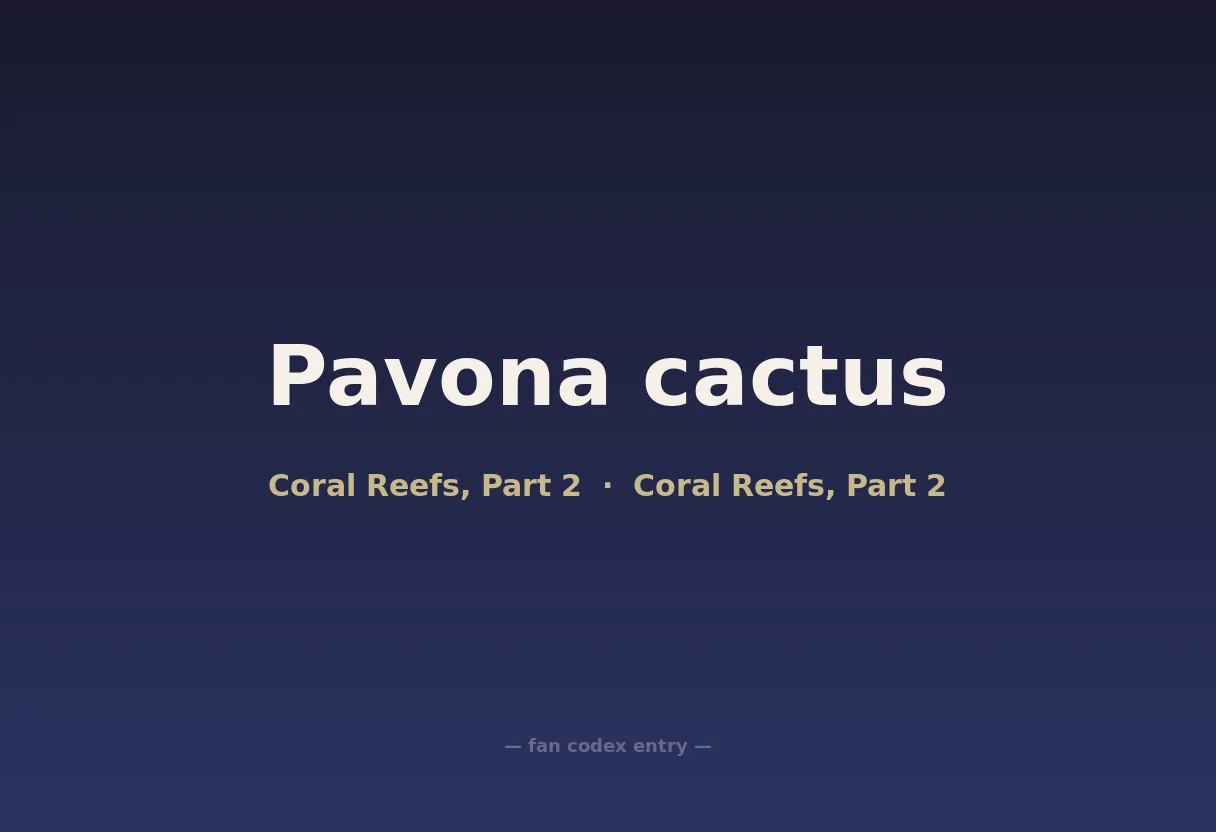 Pavona cactus