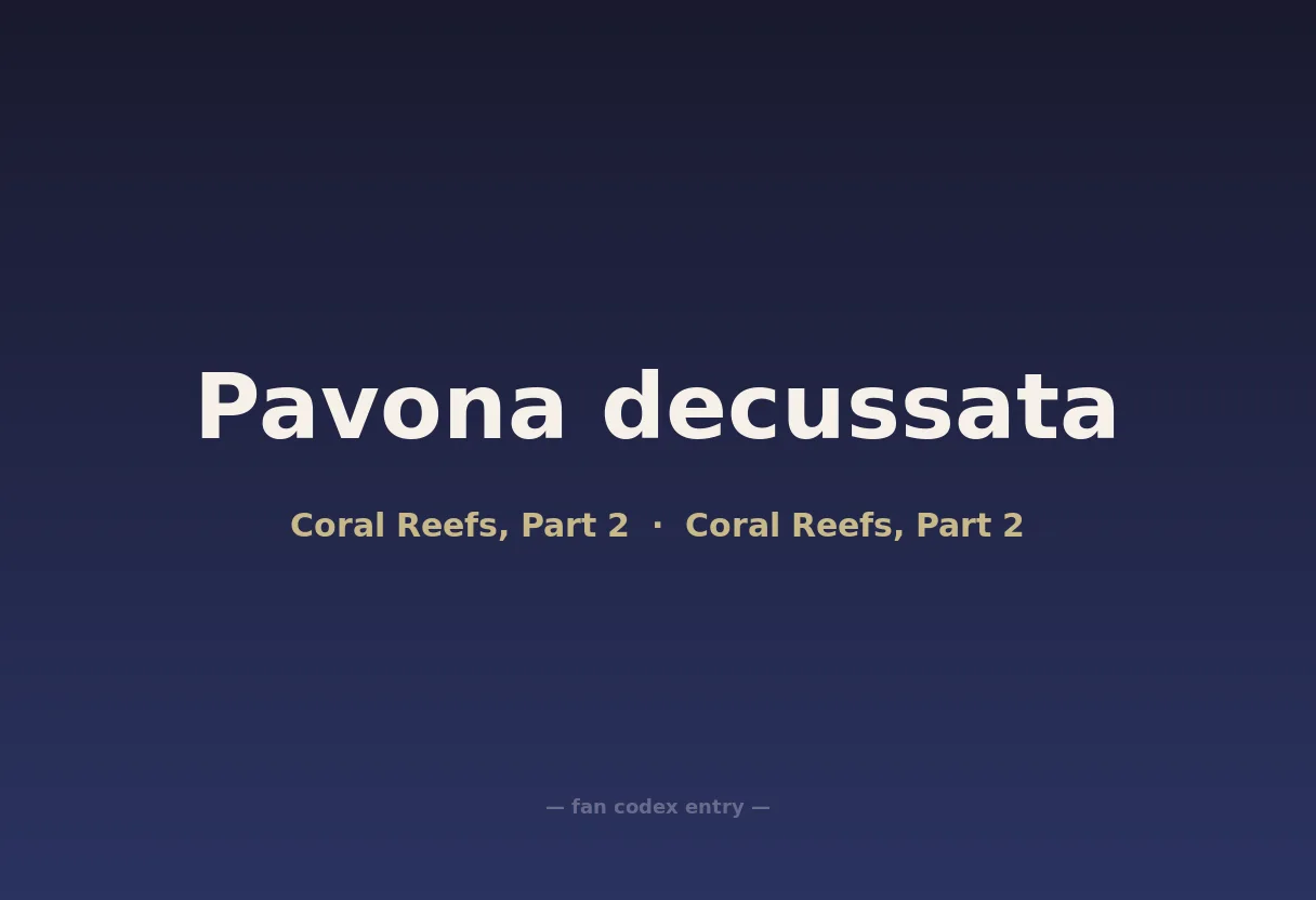 Pavona decussata