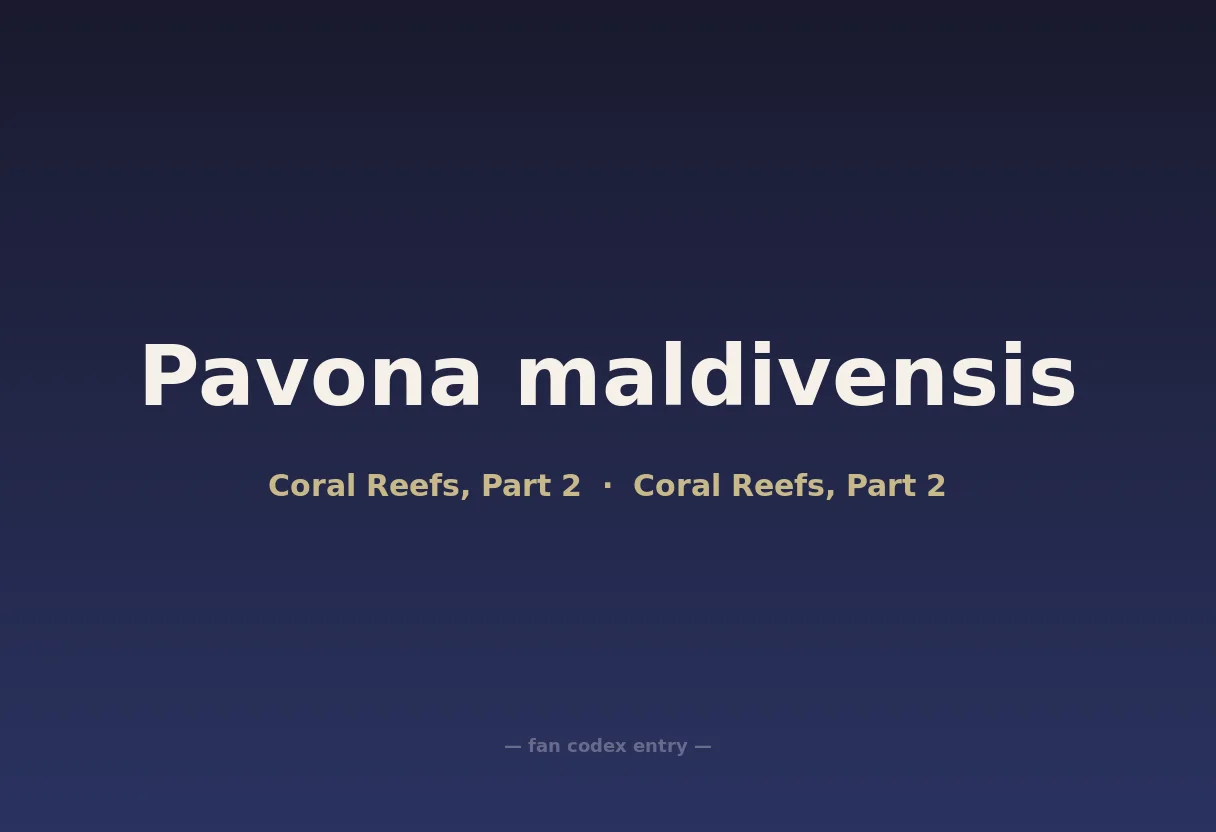 Pavona maldivensis