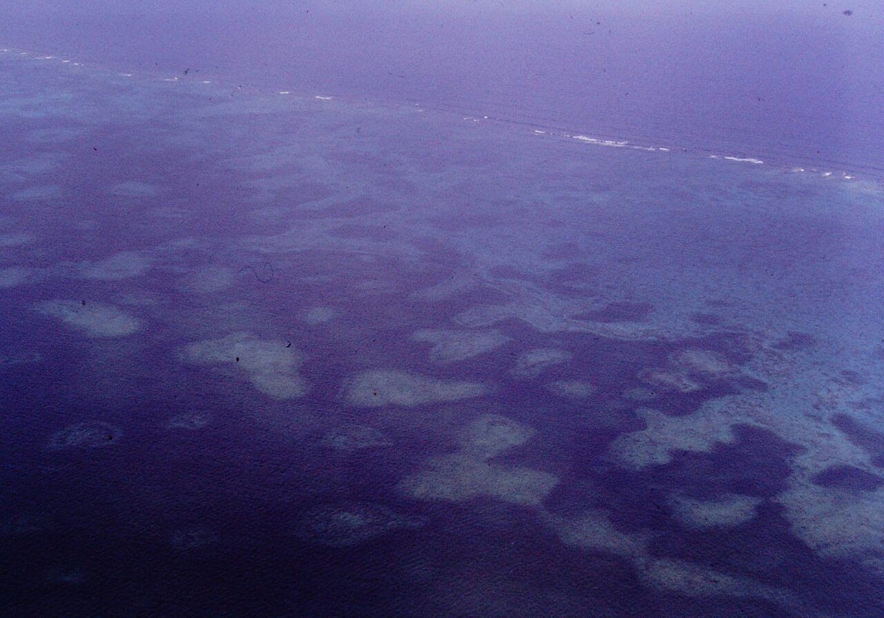 Barrier Reef Andros Island B 1999