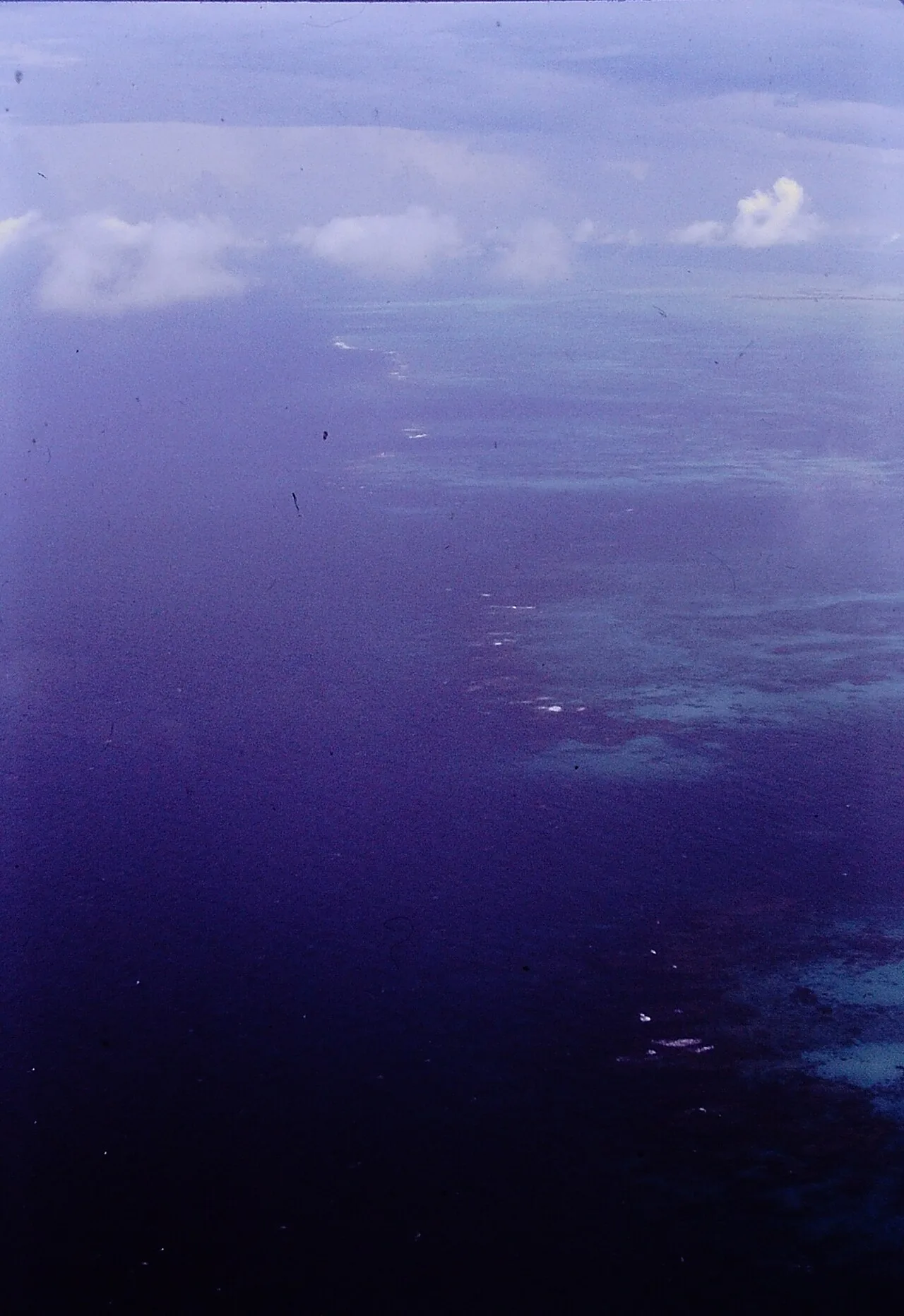 Reef