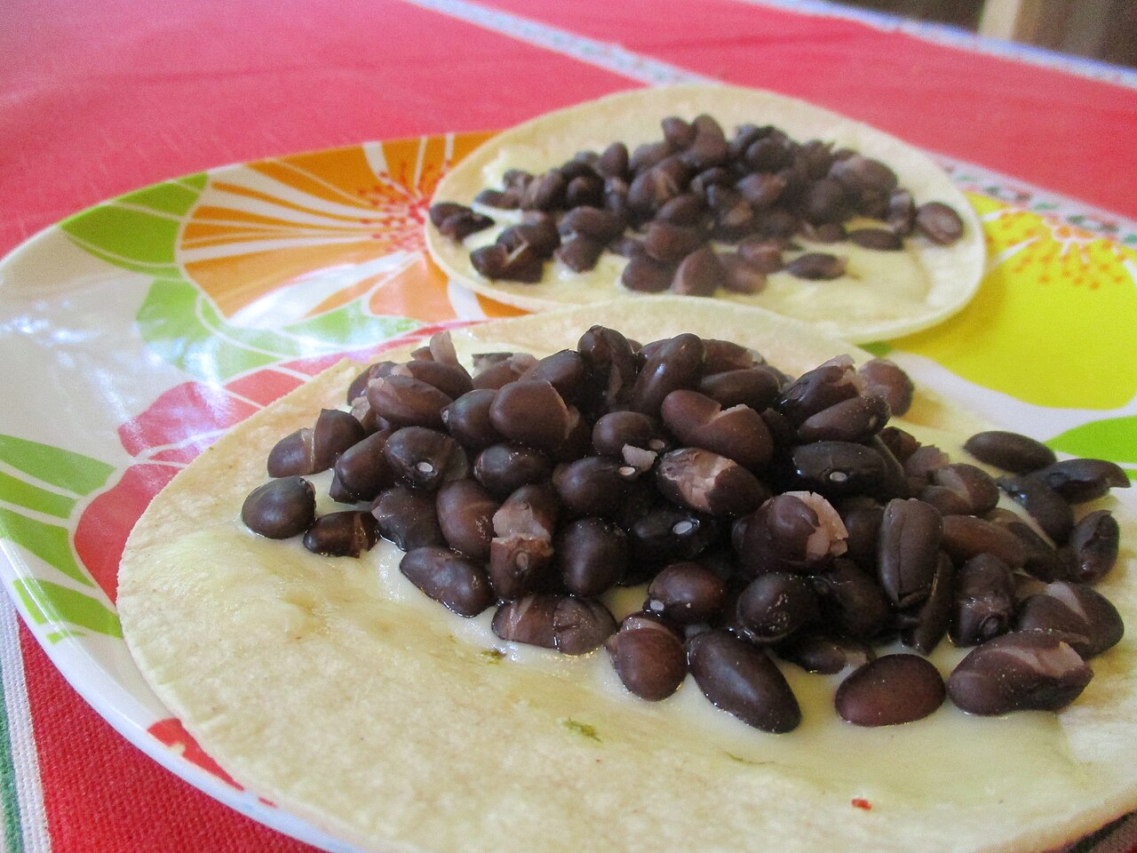 Corn tortilla