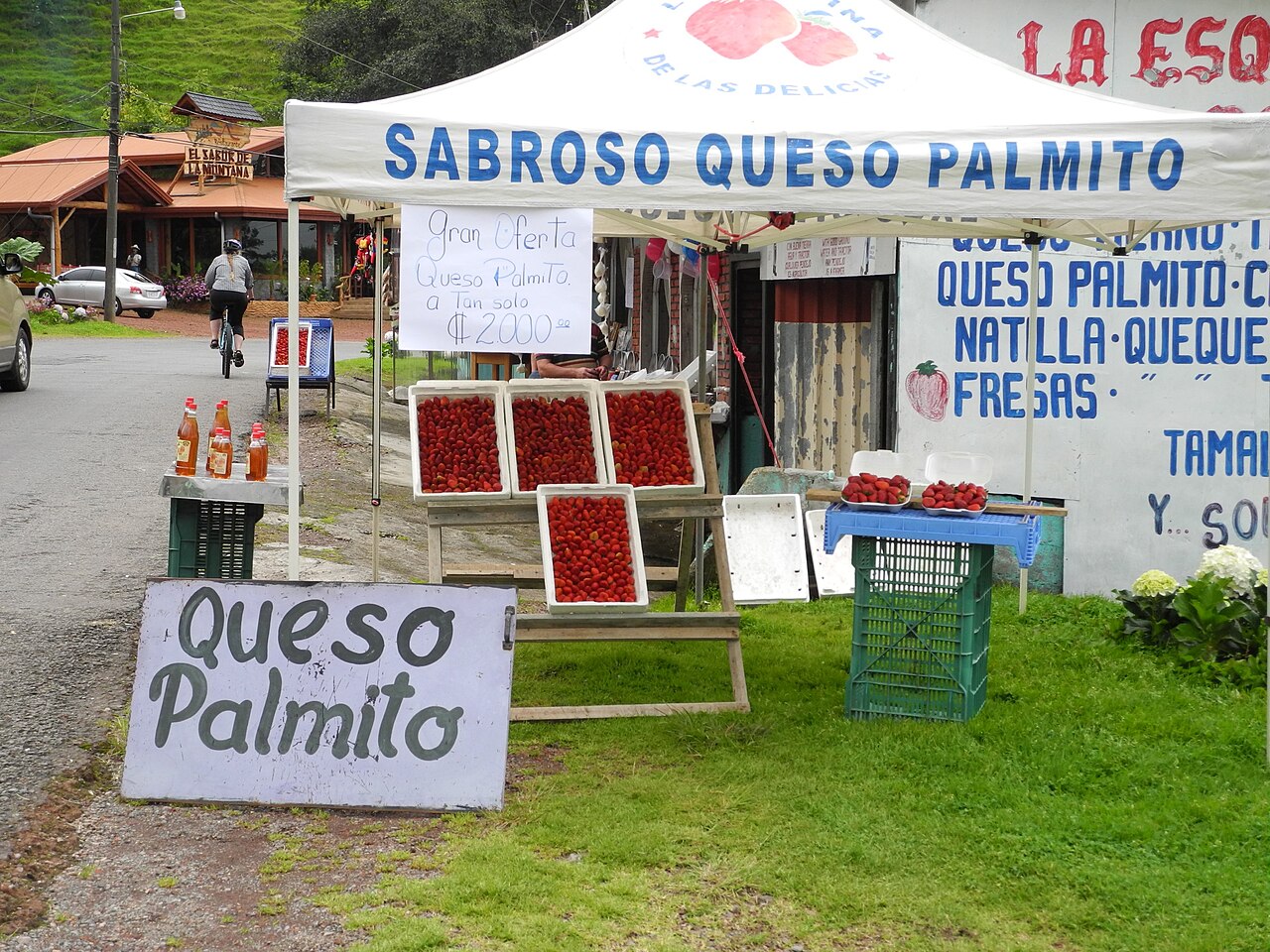 Palmito cheese