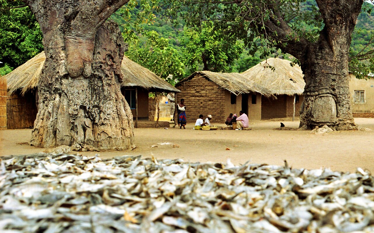 Malawi