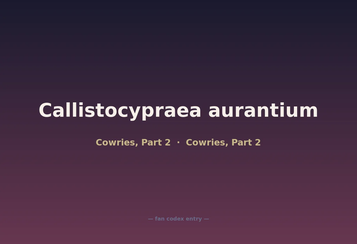 Callistocypraea aurantium