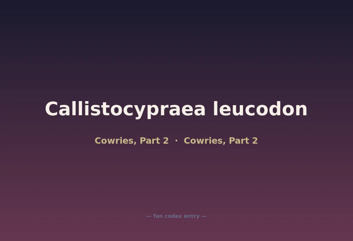 Callistocypraea leucodon