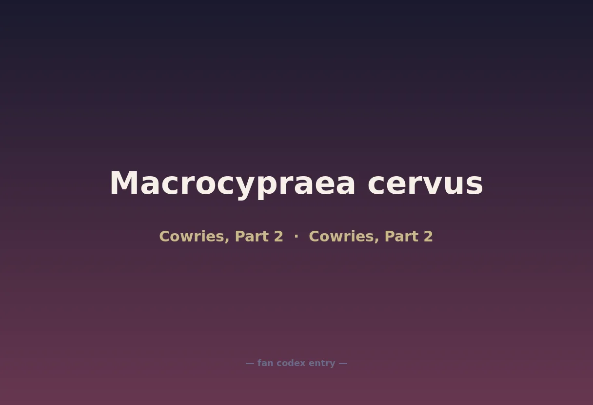 Macrocypraea cervus