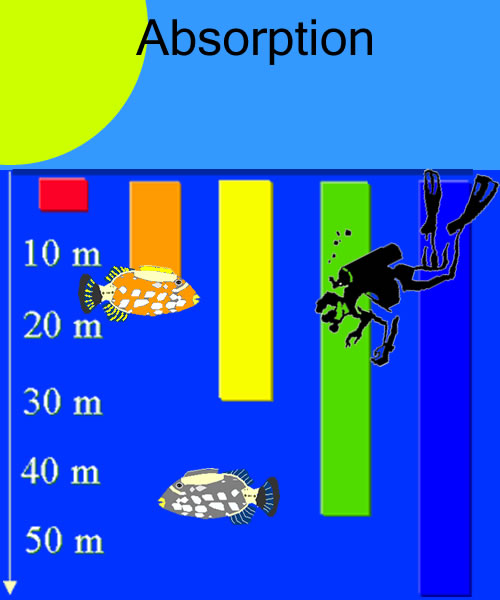 Absorption (electromagnetic radiation)