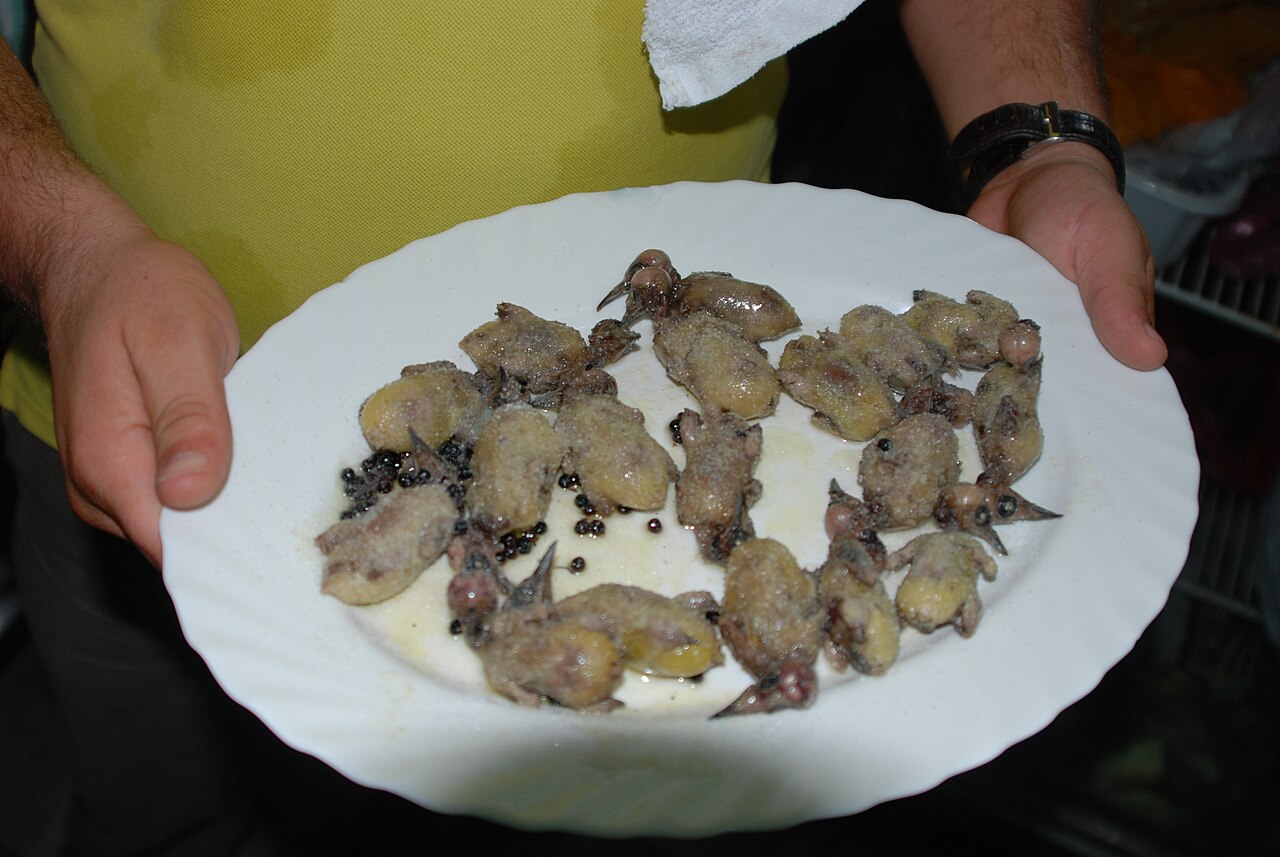 Ambelopoulia