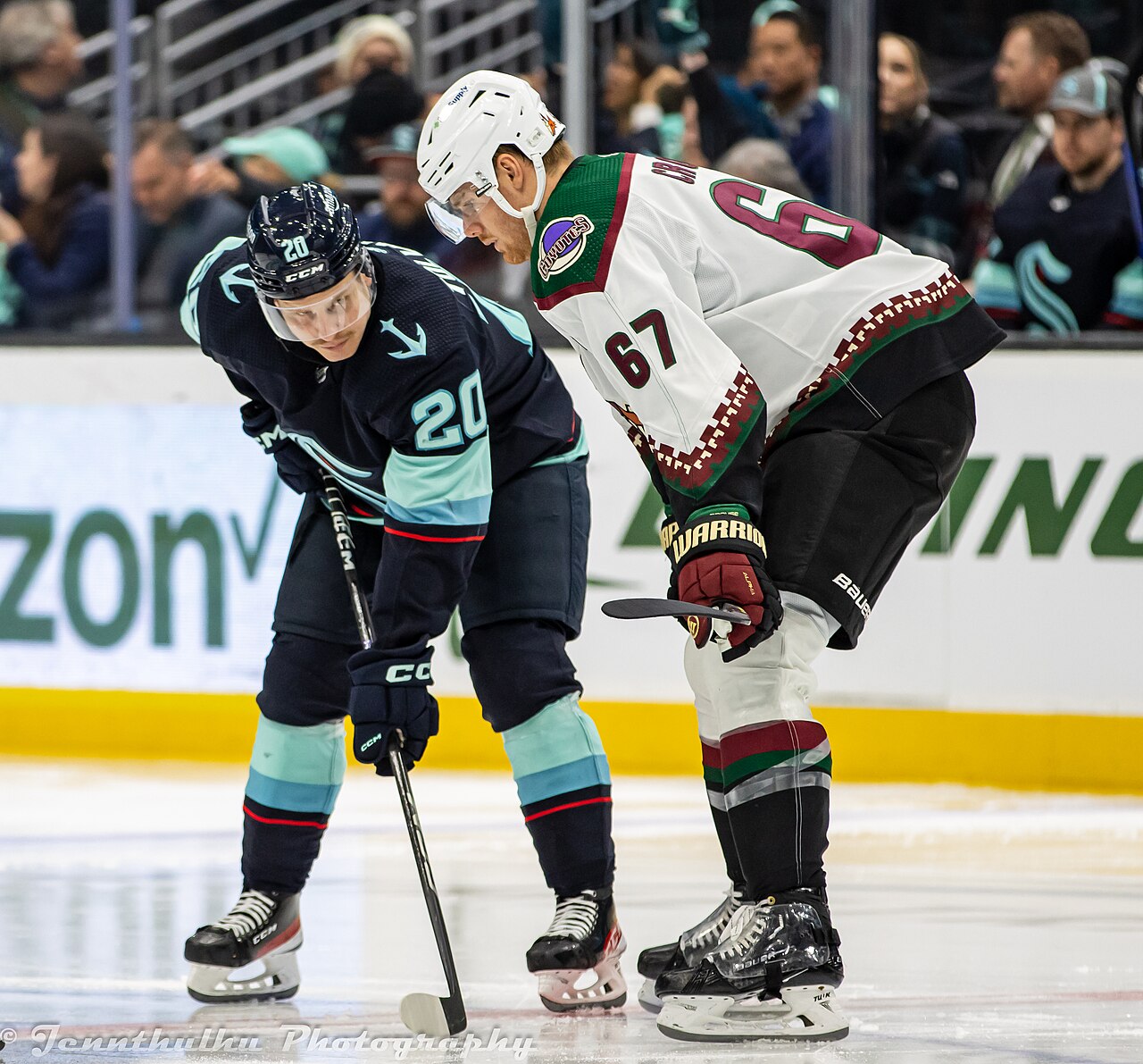 Arizona Coyotes