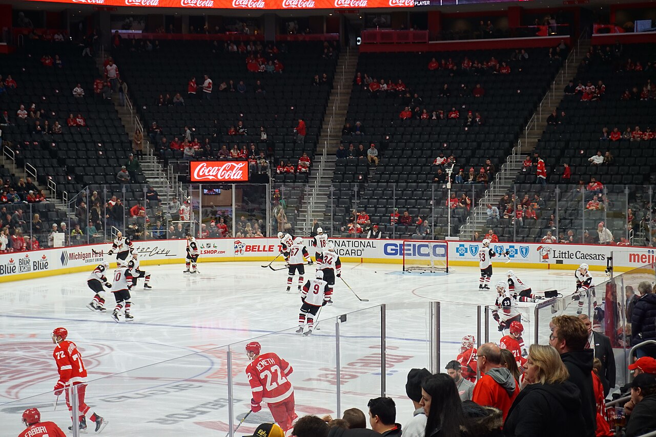 Arizona Coyotes