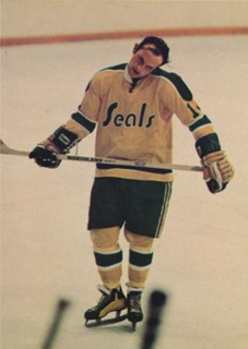 California Golden Seals
