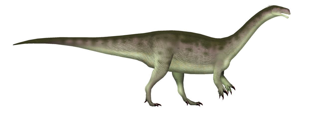 Aardonyx