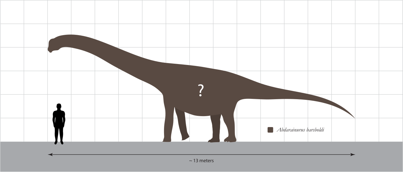 Abdarainurus