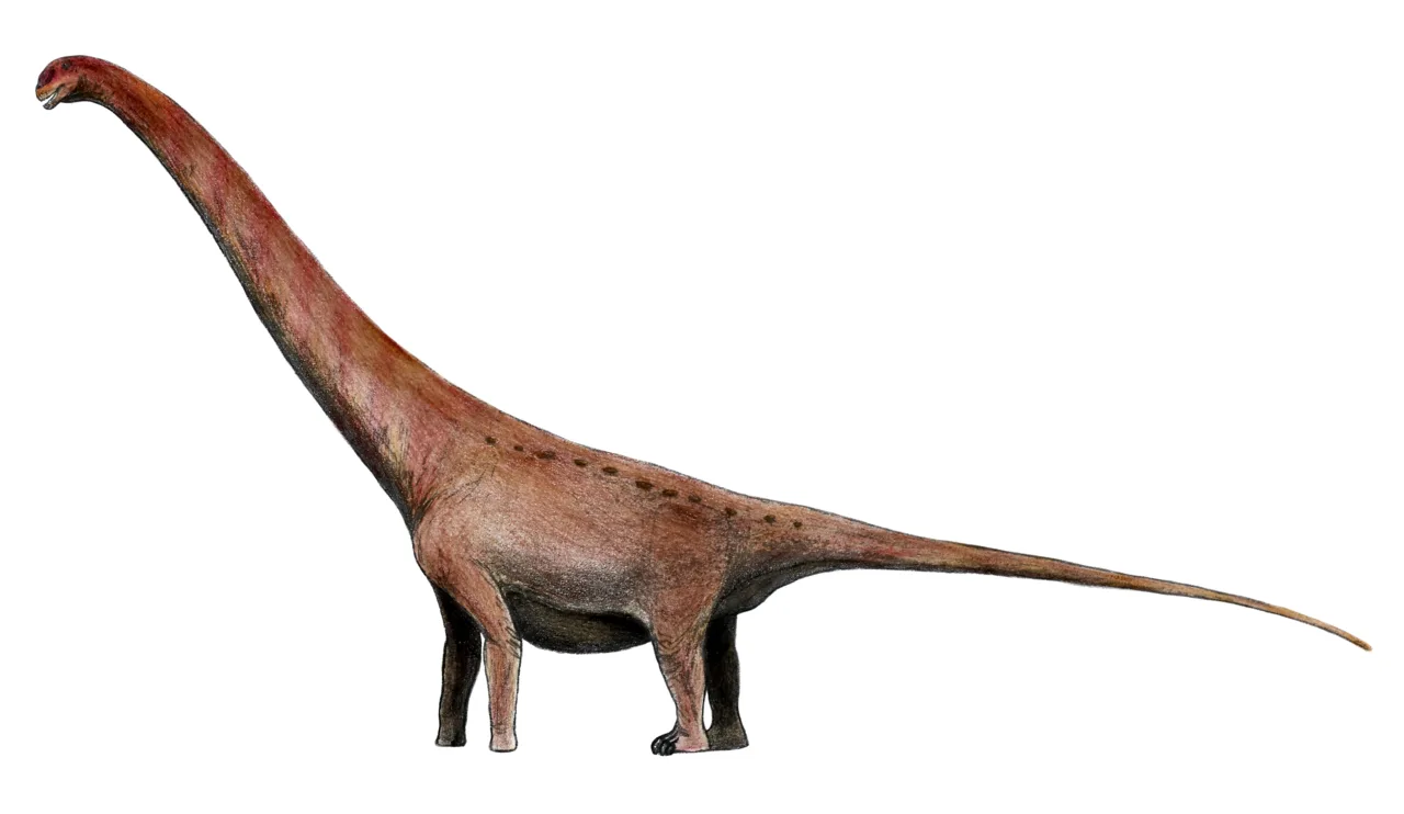 Abdarainurus
