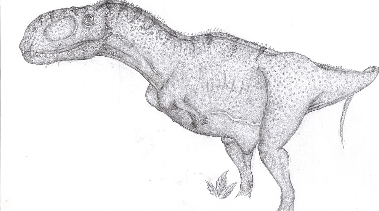Abelisaurus