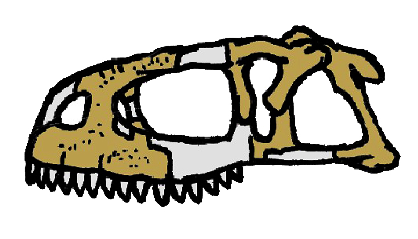 Abelisaurus