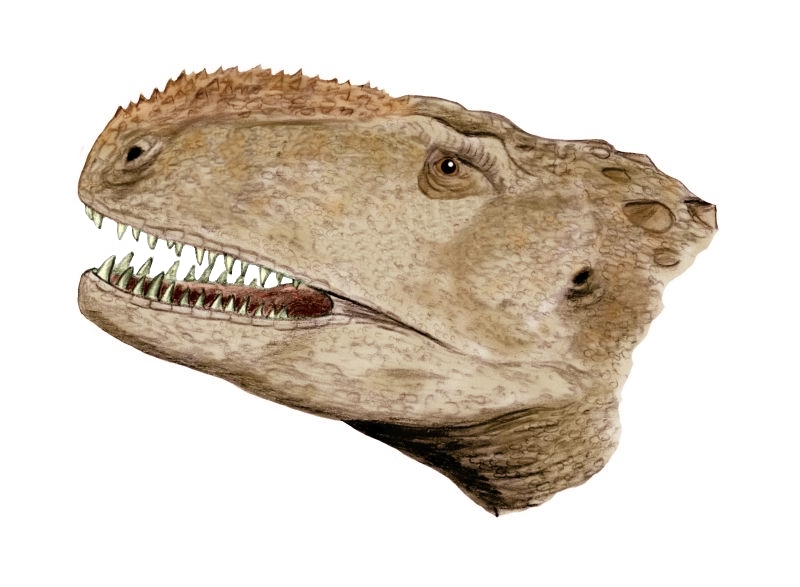 Abelisaurus