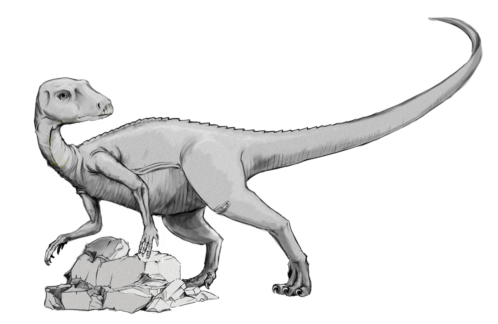 Abrictosaurus