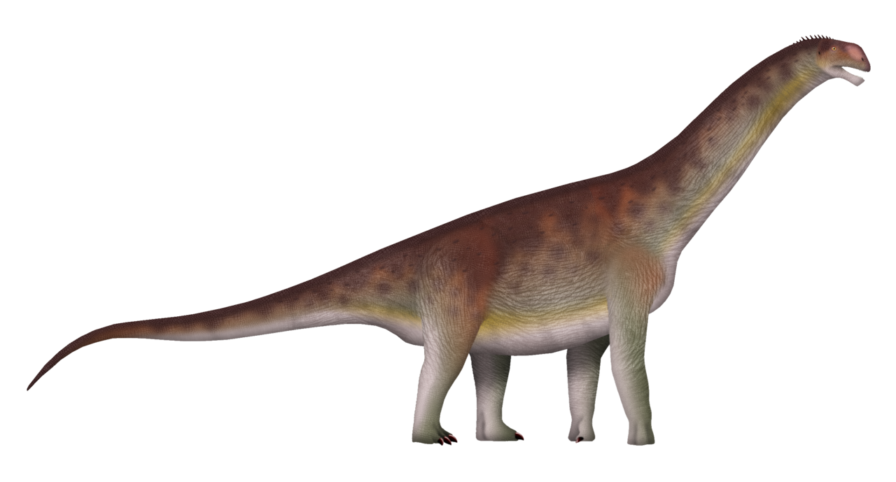 Abrosaurus