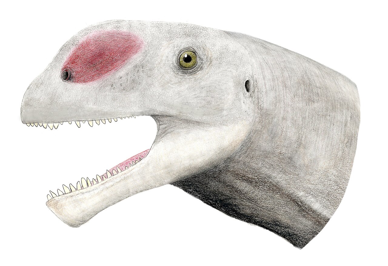 Abrosaurus