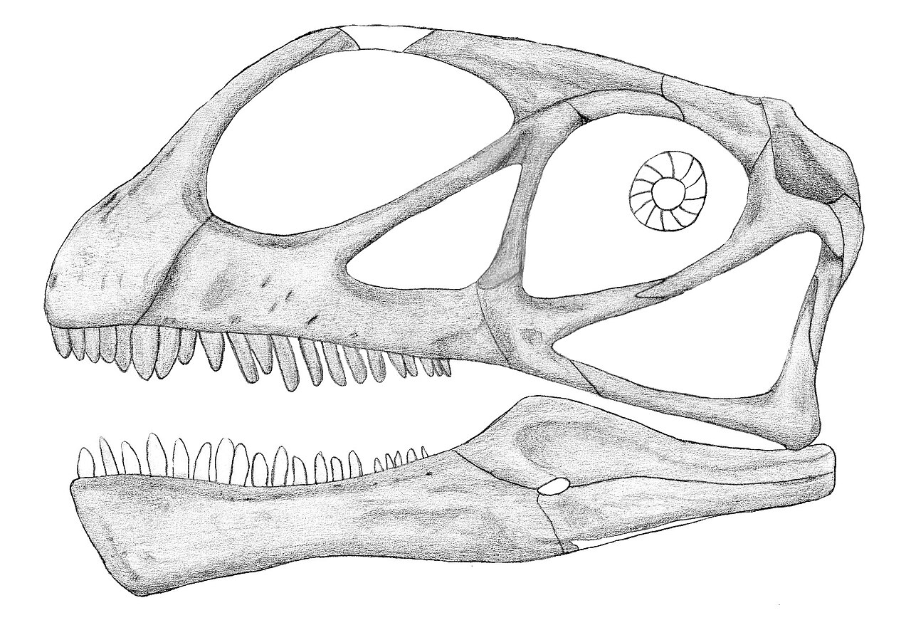 Abrosaurus