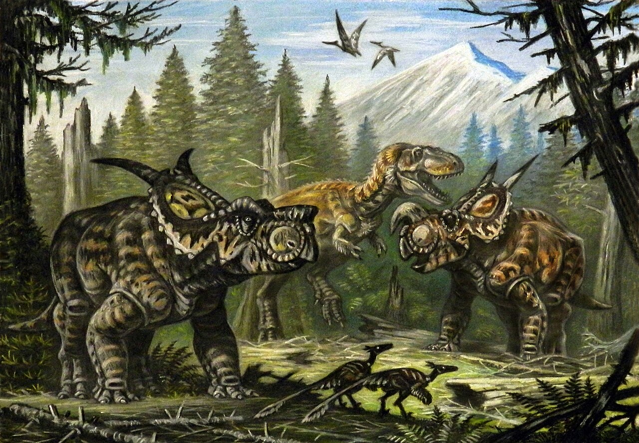 Achelousaurus