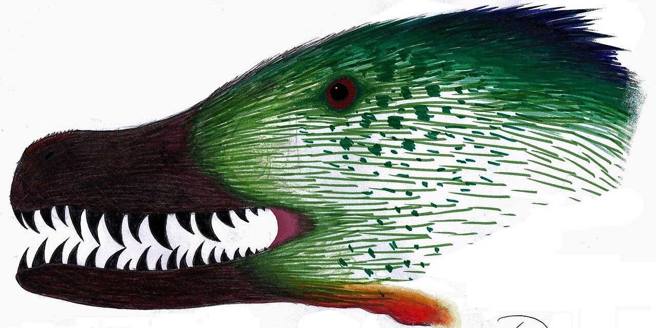 Acheroraptor