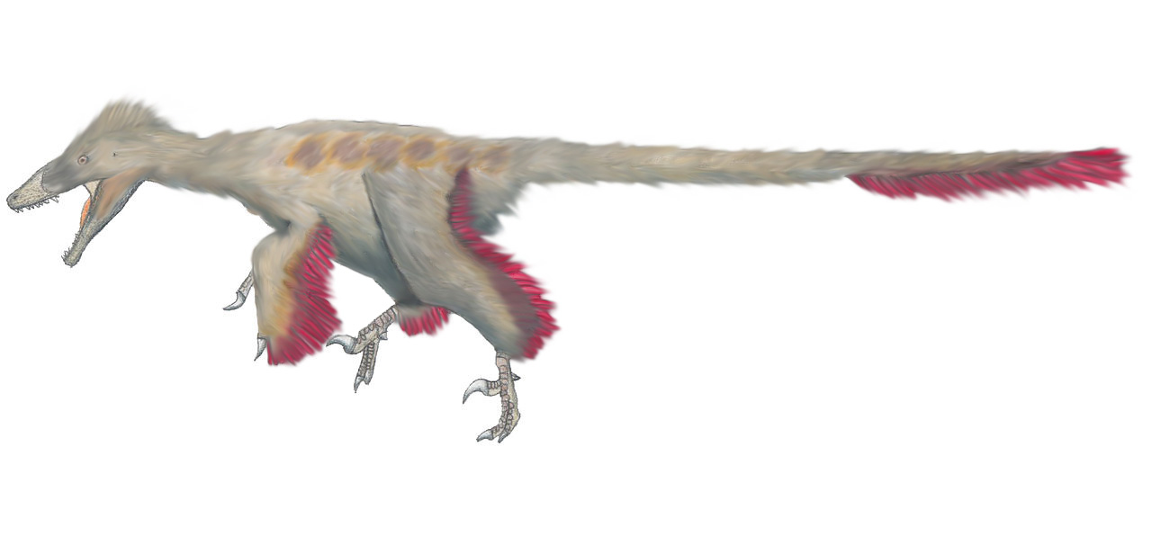 Achillobator