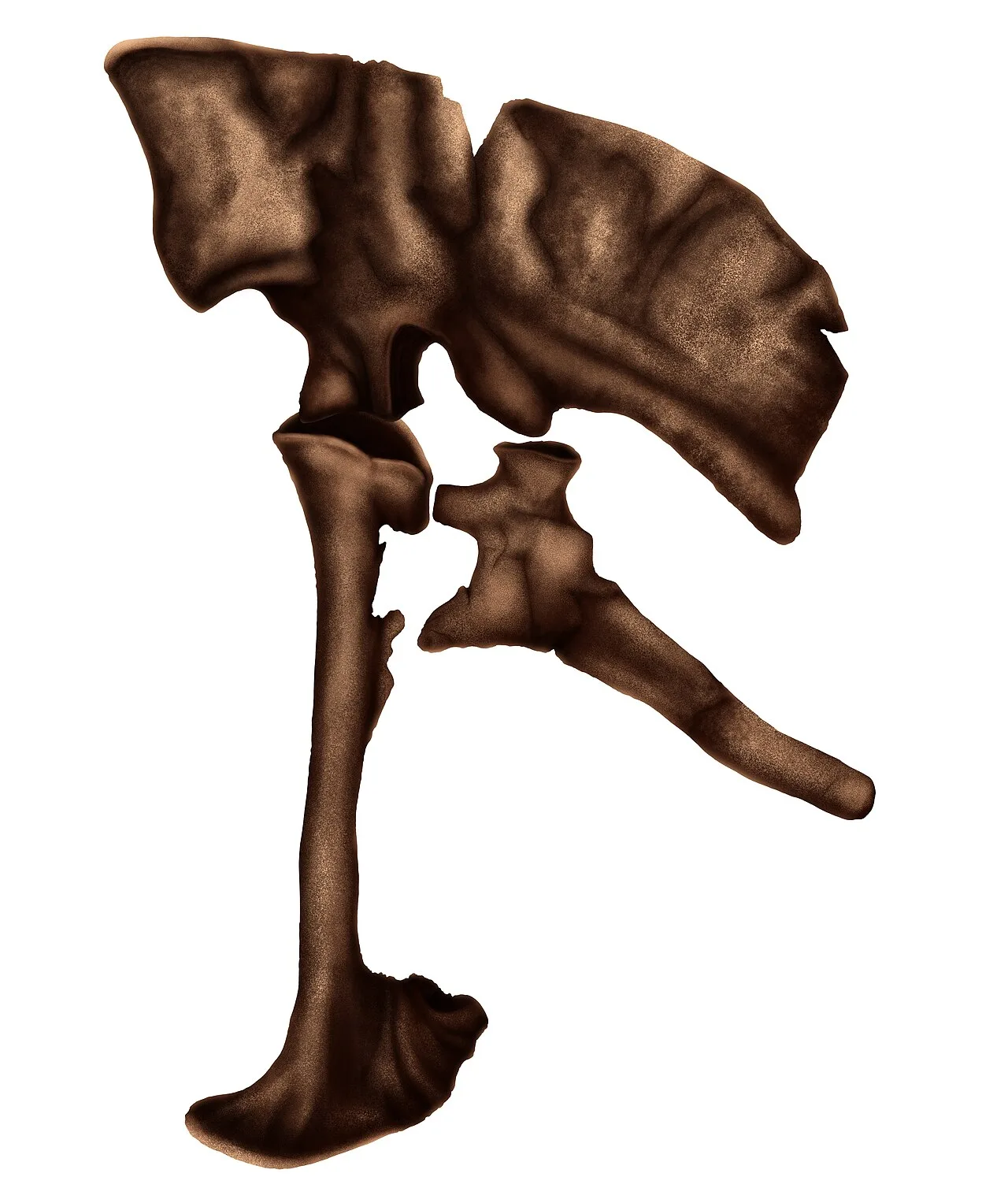 Achillobator