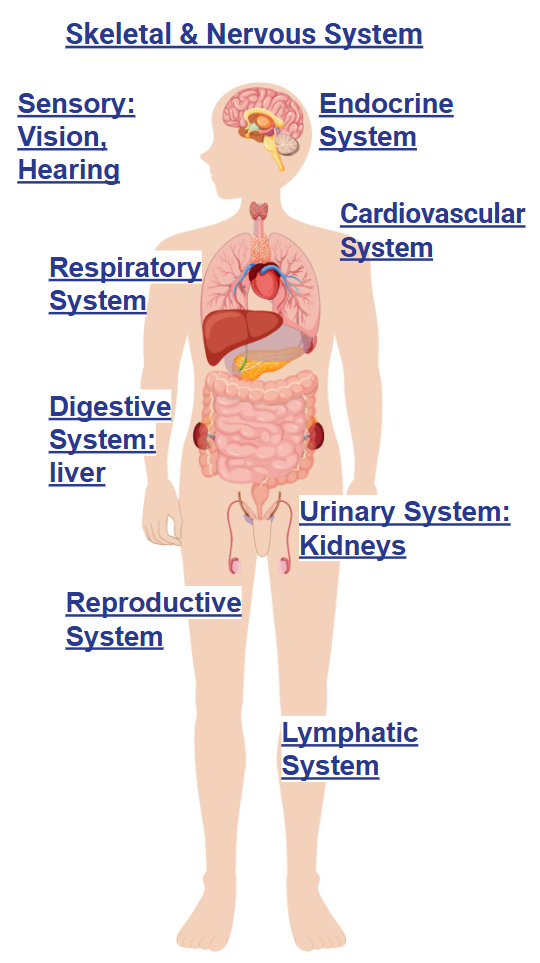 Alström syndrome