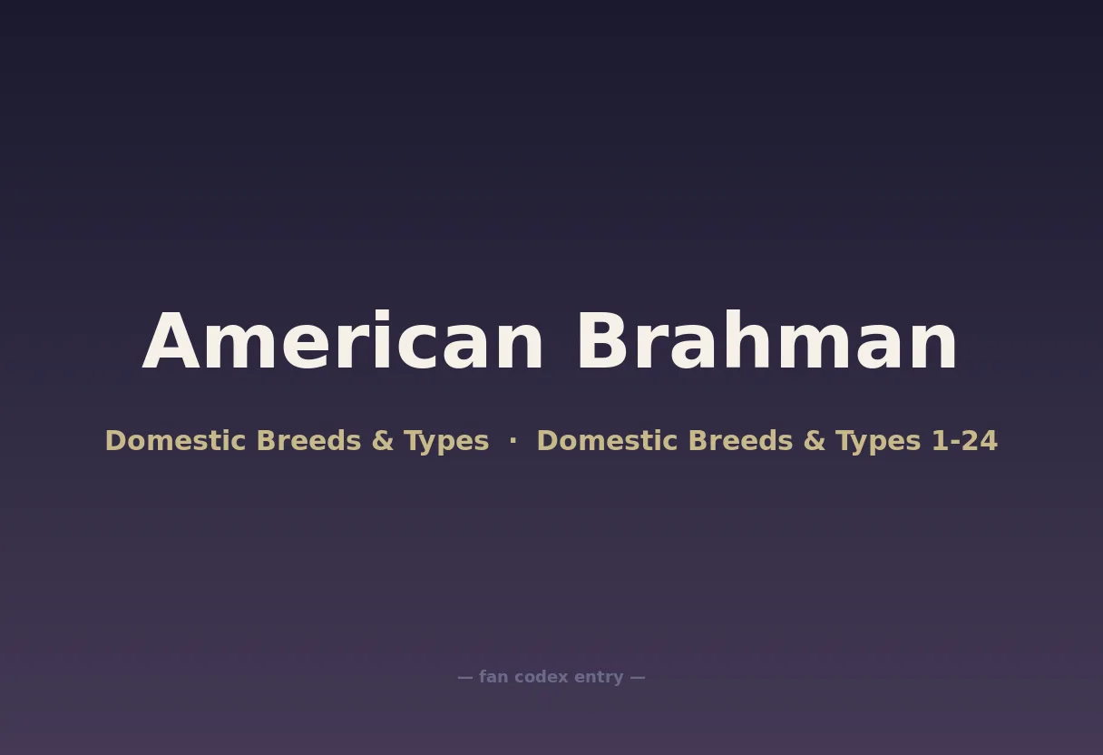 American Brahman