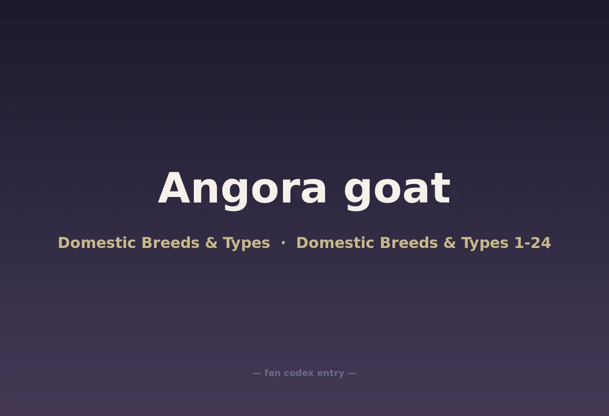 Angora goat