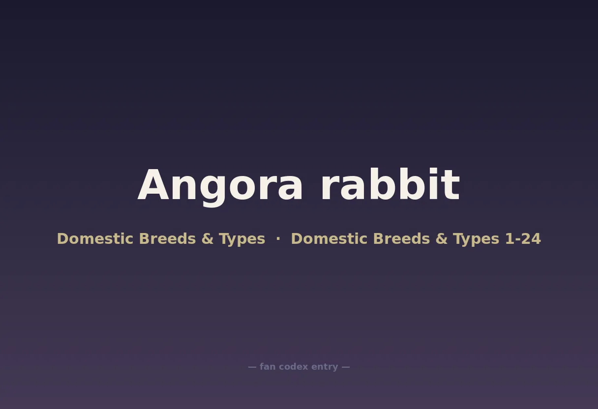 Angora rabbit