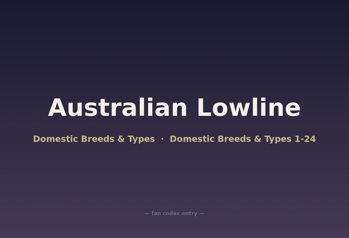 Australian Lowline