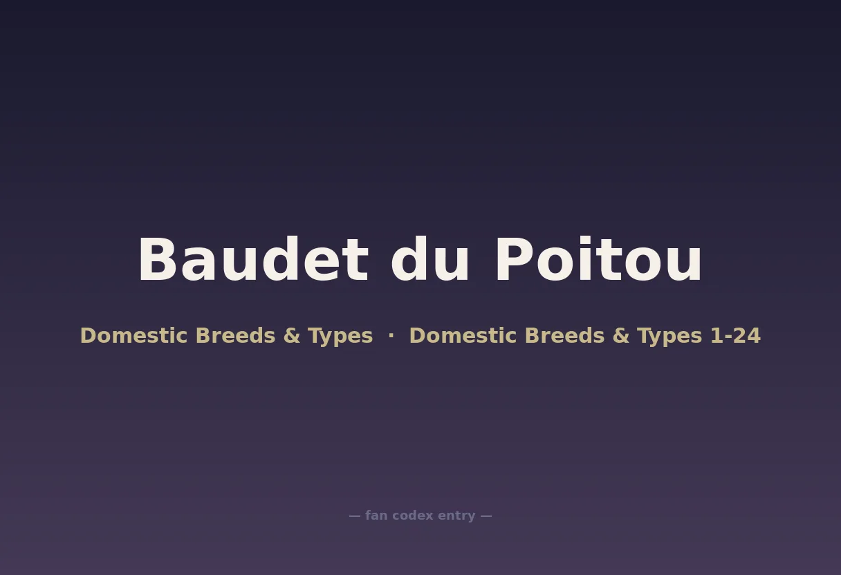 Baudet du Poitou