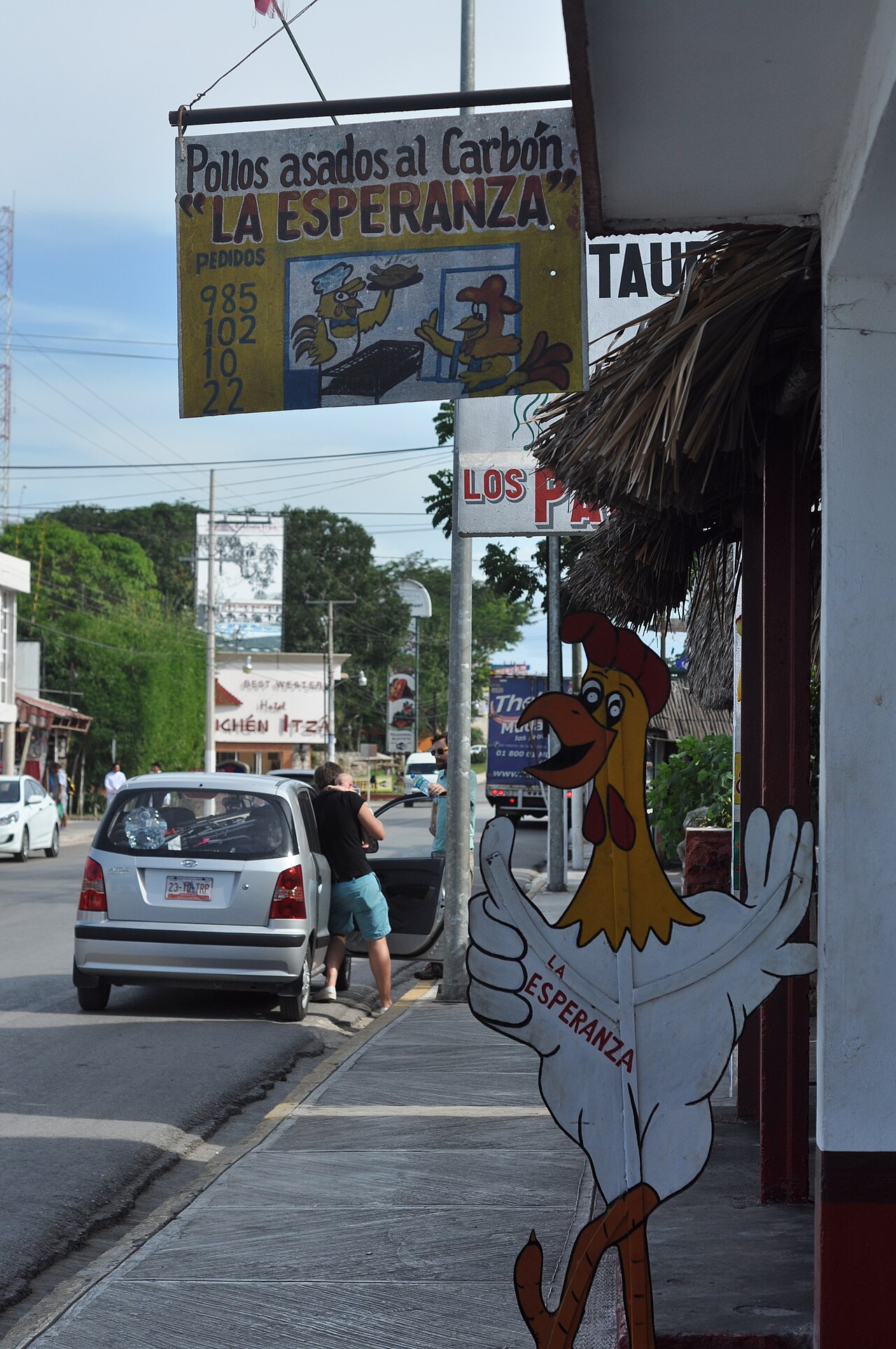 Pollo al carbón