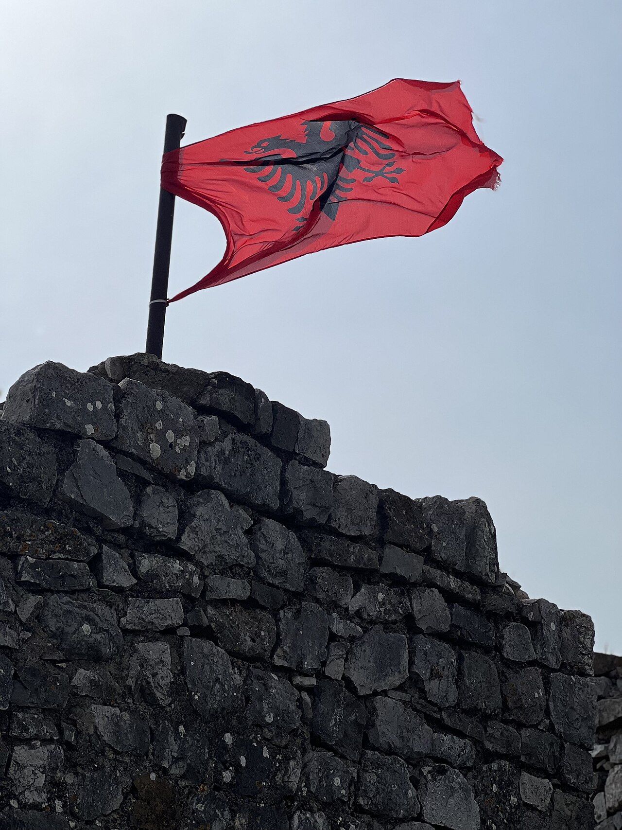 Flag of Albania