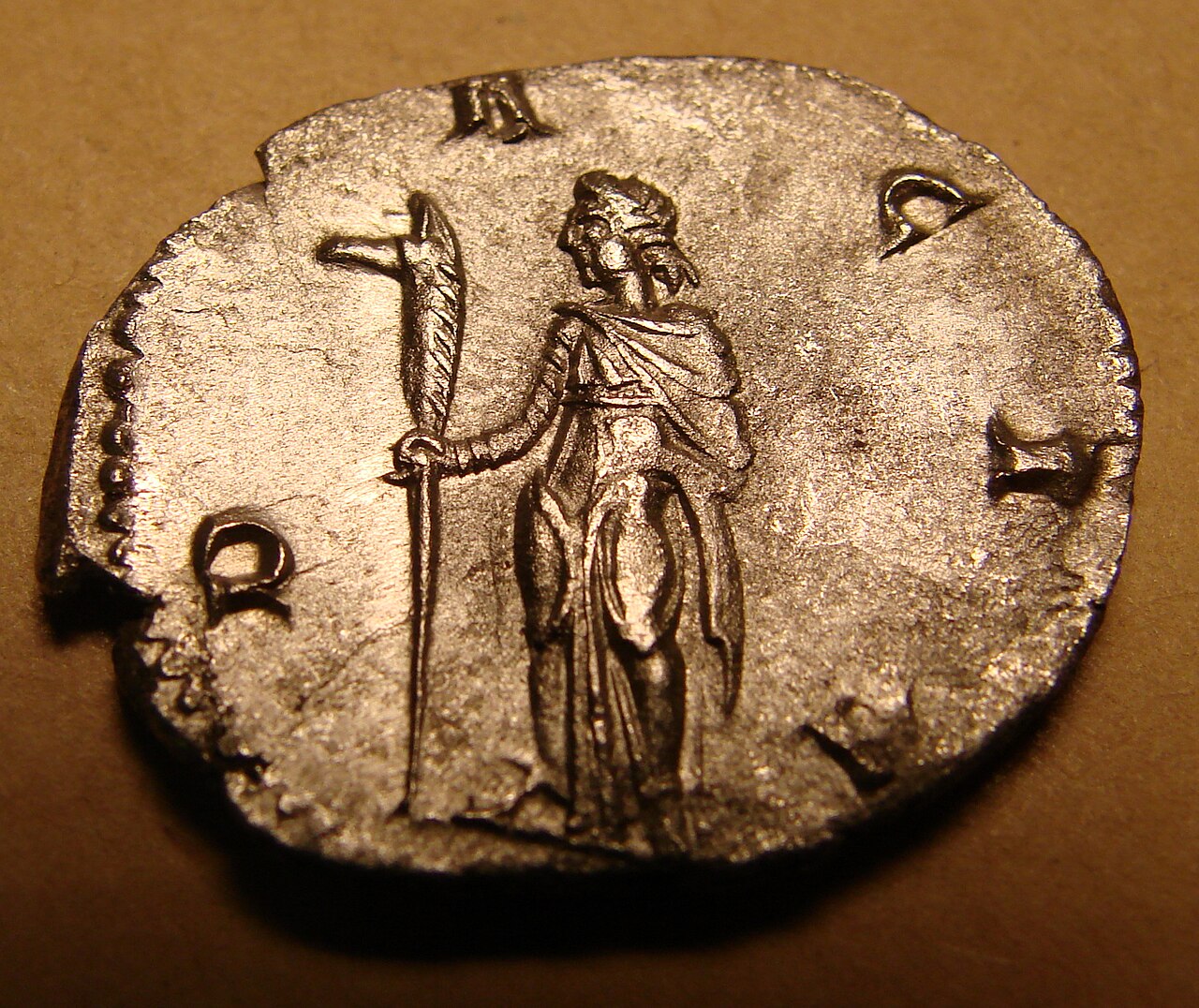 Dacian draco