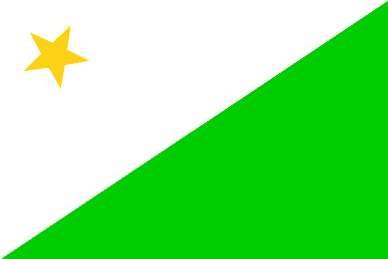 Flag of Bhutan