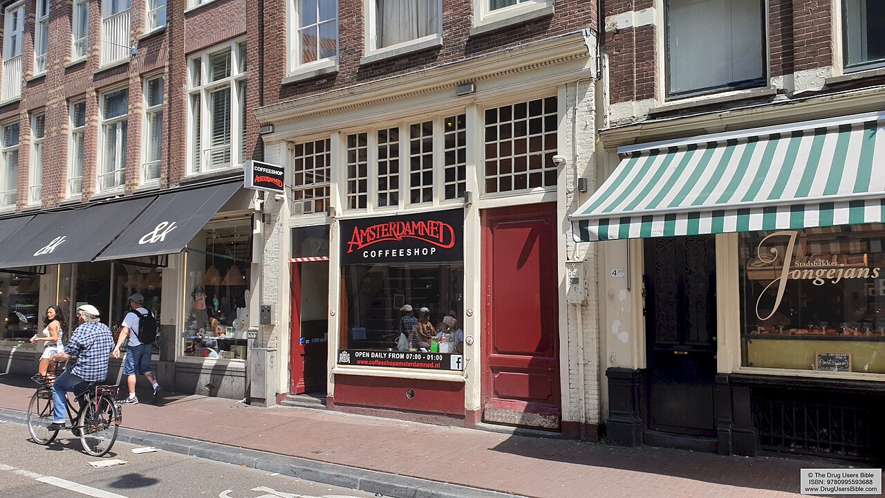 Amsterdamned